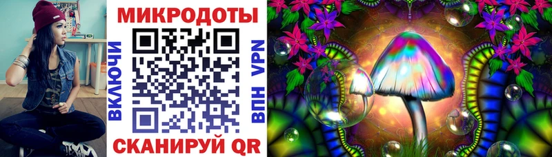 ссылка на мегу как войти  Тында  Псилоцибиновые грибы Psilocybe  купить наркотик 