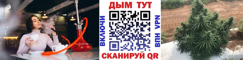 Каннабис VHQ Тында